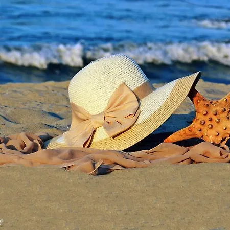 Aneta's Seaside *